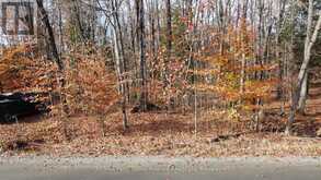 65 NORTH SANDY PLAINS ROAD | Seguin Ontario | Slide Image Three