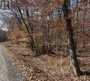 65 NORTH SANDY PLAINS ROAD | Seguin Ontario | Slide Image Nine
