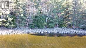 1082 BRIARWOOD TRAIL | Haliburton Ontario | Slide Image Fifteen