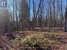 1082 BRIARWOOD TRAIL | Haliburton Ontario | Slide Image Twenty-one
