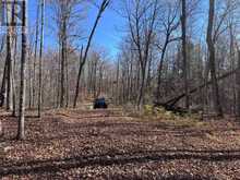 1082 BRIARWOOD TRAIL | Haliburton Ontario | Slide Image Twenty-six