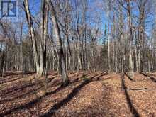 1082 BRIARWOOD TRAIL | Haliburton Ontario | Slide Image Twenty-seven