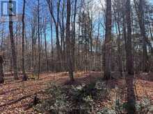 1082 BRIARWOOD TRAIL | Haliburton Ontario | Slide Image Twenty-eight