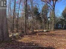 1082 BRIARWOOD TRAIL | Haliburton Ontario | Slide Image Thirty-one