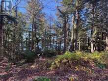 1082 BRIARWOOD TRAIL | Haliburton Ontario | Slide Image Thirty-two