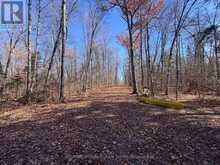 1082 BRIARWOOD TRAIL | Haliburton Ontario | Slide Image Thirty-three