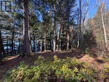1082 BRIARWOOD TRAIL | Haliburton Ontario | Slide Image Thirty-four