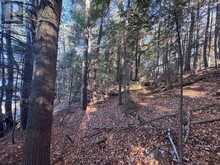 1082 BRIARWOOD TRAIL | Haliburton Ontario | Slide Image Thirty-six