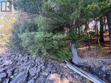 1082 BRIARWOOD TRAIL | Haliburton Ontario | Slide Image Forty