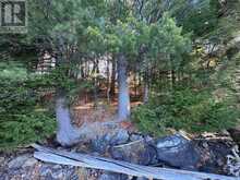 1082 BRIARWOOD TRAIL | Haliburton Ontario | Slide Image Forty-one