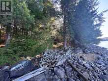 1082 BRIARWOOD TRAIL | Haliburton Ontario | Slide Image Forty-two