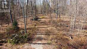 1082 BRIARWOOD TRAIL | Haliburton Ontario | Slide Image Nine