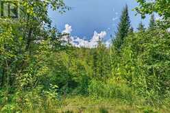 2671 HIGHWAY 118 EAST | Bracebridge Ontario | Slide Image Forty-two