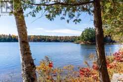 1088 BIRCH POINT ROAD | Gravenhurst Ontario | Slide Image Nine