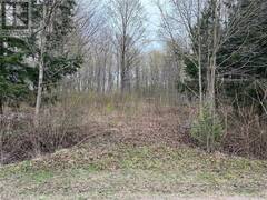 77360 FOREST RIDGE Road Central Huron Ontario, N0M 1G0