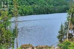 1255 SNAKE CREEK ROAD | Mattawan Ontario | Slide Image Forty-eight
