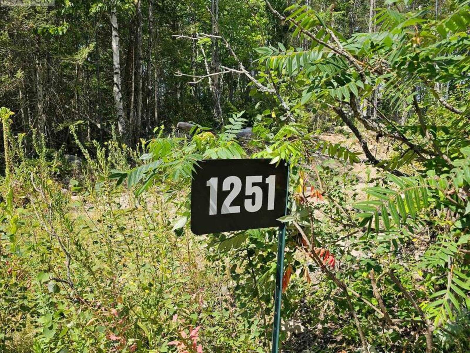 1251 SNAKE CREEK ROAD, Mattawan, Ontario P0H 1V0