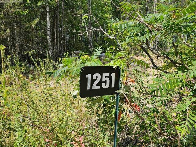 1251 SNAKE CREEK ROAD Mattawan Ontario, P0H 1V0 - Waterfront Land For Sale