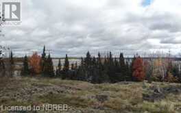 LOT 7 & 8 SMITH Island | Callander Ontario | Slide Image Fourteen