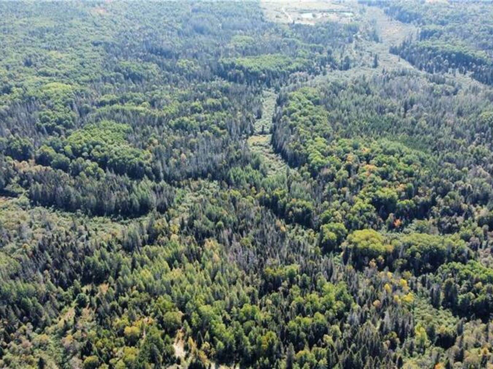 LOT 29 GRAND DESERT Road, Rutherglen, Ontario P0H 2E0