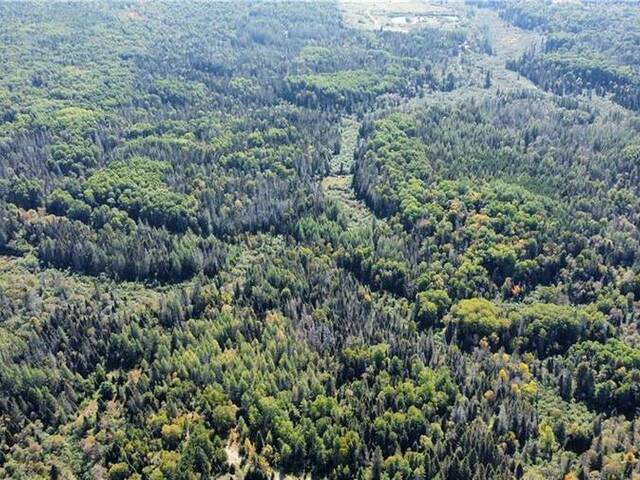 LOT 29 GRAND DESERT Road Rutherglen Ontario, P0H 2E0