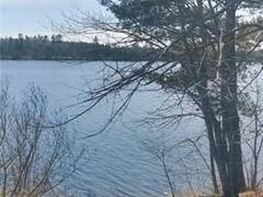 297 NICKEL LAKE SHORES ROAD Rainy River Ontario, P9A 3M3