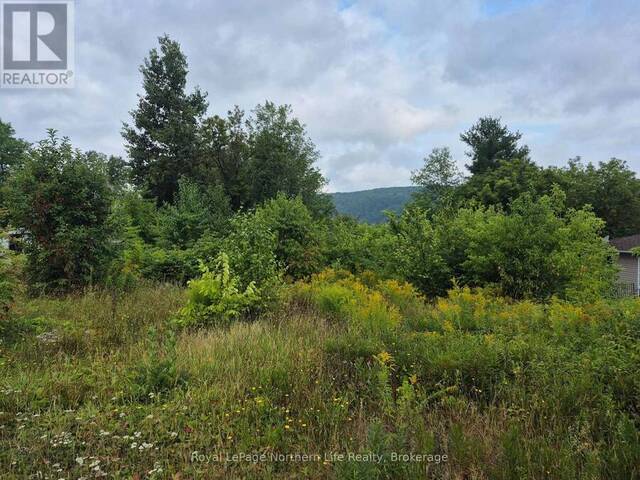 560 NEW STREET Mattawan Ontario, P0H 1V0 - Vacant Land For Sale