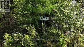 LOT 1 FOX RUN ROAD | Temagami Ontario | Slide Image Two
