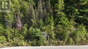 LOT 1 FOX RUN ROAD | Temagami Ontario | Slide Image Three