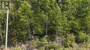 LOT 2 FOX RUN DRIVE | Temagami Ontario | Slide Image Two