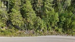 LOT 2 FOX RUN DRIVE | Temagami Ontario | Slide Image Three