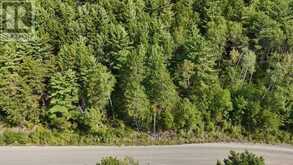 LOT 2 FOX RUN DRIVE | Temagami Ontario | Slide Image Five