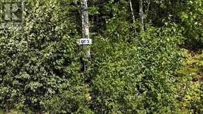 LOT 3 FOX RUN DRIVE | Temagami Ontario | Slide Image Two