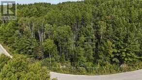 LOT 3 FOX RUN DRIVE | Temagami Ontario | Slide Image Three