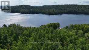 LOT 3 FOX RUN DRIVE | Temagami Ontario | Slide Image Four