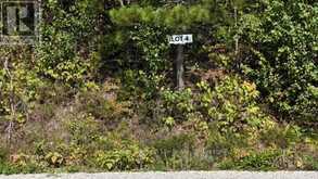 LOT 4 FOX RUN DRIVE | Temagami Ontario | Slide Image Two
