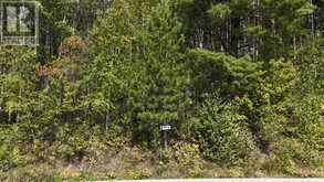 LOT 4 FOX RUN DRIVE | Temagami Ontario | Slide Image Three