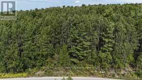 LOT 4 FOX RUN DRIVE | Temagami Ontario | Slide Image Four