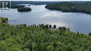LOT 4 FOX RUN DRIVE | Temagami Ontario | Slide Image Five