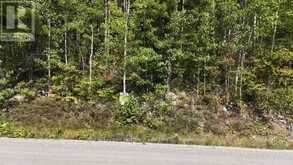 LOT 5 FOX RUN DRIVE | Temagami Ontario | Slide Image Three