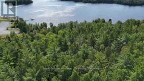 LOT 5 FOX RUN DRIVE | Temagami Ontario | Slide Image Six