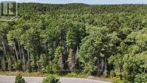 LOT 10 FOX RUN DRIVE | Temagami Ontario | Slide Image Four