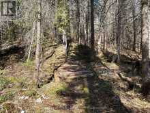 CON 9 PT LOT 17 HIGHWAY 534 | Nipissing Ontario | Slide Image Seven