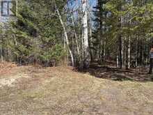 CON 9 PT LOT 17 HIGHWAY 534 | Nipissing Ontario | Slide Image Nine