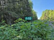 446 BURRITTS ROAD | Mattawan Ontario | Slide Image One