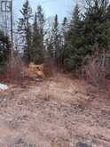 508 SWEEZEY STREET | Powassan Ontario | Slide Image Nine