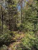 471 WEILER LINE | Powassan Ontario | Slide Image Seventeen