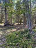 471 WEILER LINE | Powassan Ontario | Slide Image Nine