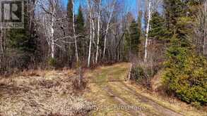 PCL 13895 SEC NIP; LT 5 17 E HIGHWAY | Mattawan Ontario | Slide Image Six