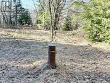 30 PEEVER LINE | Powassan Ontario | Slide Image Ten